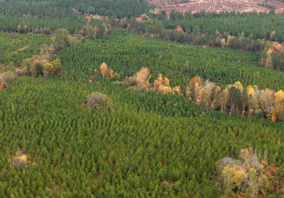 606 AFM Richmond 126 Tract Photo 13