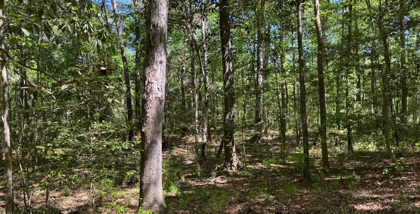 606 IMG 4257 Copy Copy