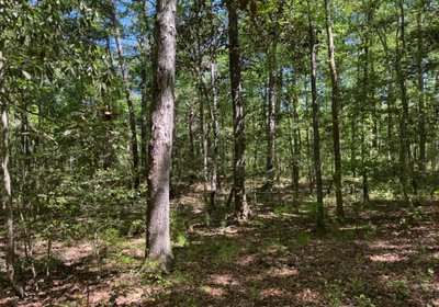 606 IMG 4257 Copy Copy