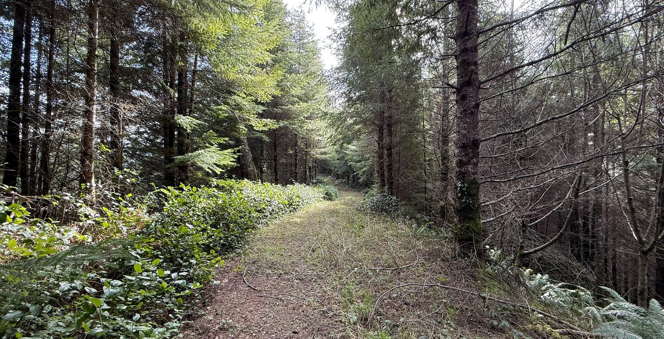 606 Photo Feb 26 2026 2 21 24 PM