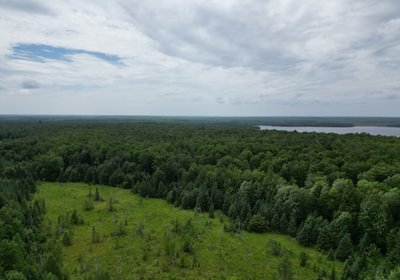 606 perchlake 43