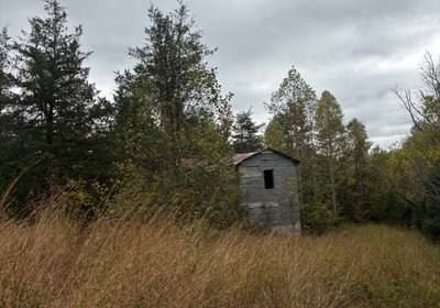 607 IMG 3002