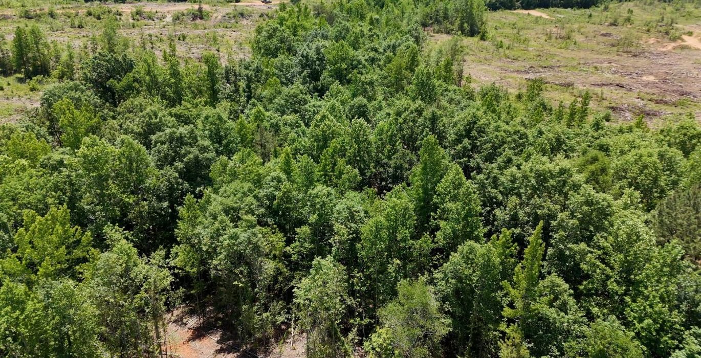 608 AFM Big Mountain Creek Photo 29
