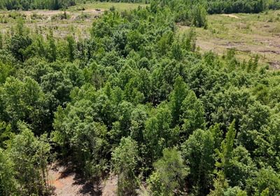 608 AFM Big Mountain Creek Photo 29