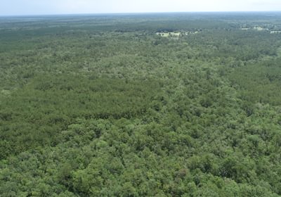 608 DJI 0017