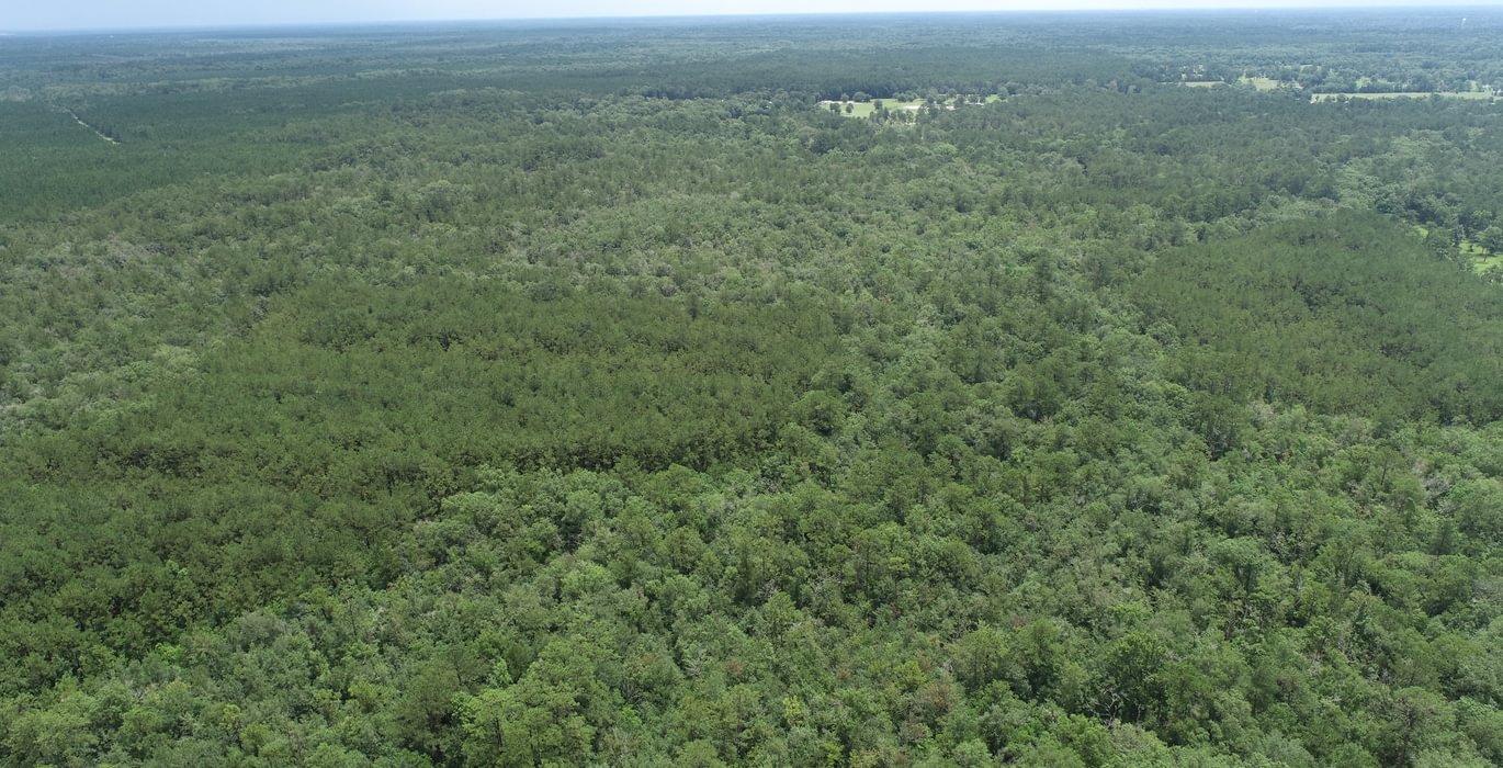 608 DJI 0017