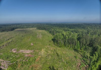 609 DJI 20260529211536 0015 D