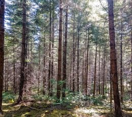 60 DJI 0054 HDR25