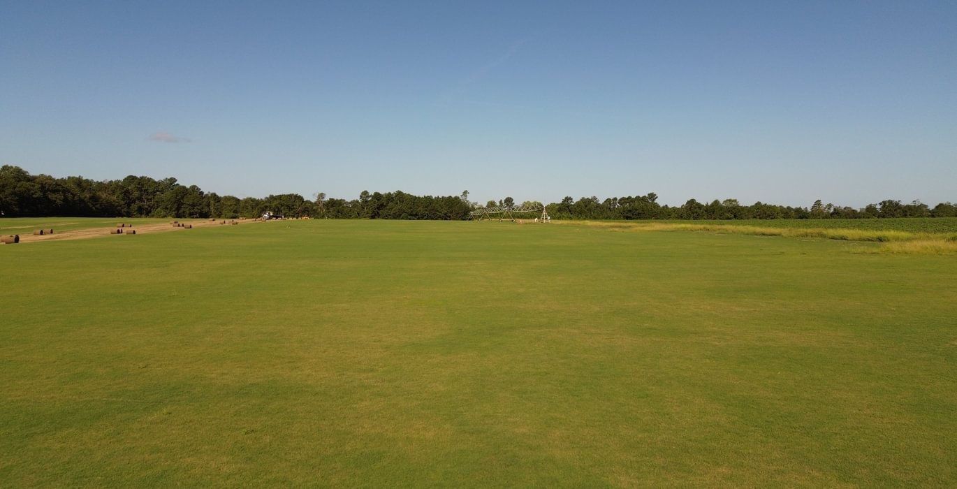 60 DJI 0236