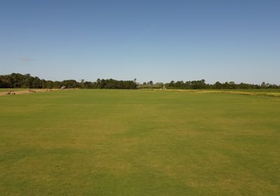 60 DJI 0236