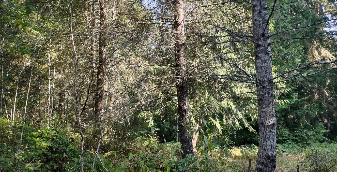 60 IMG 20250905 110830133 HDR