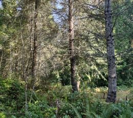 60 IMG 20250905 110830133 HDR