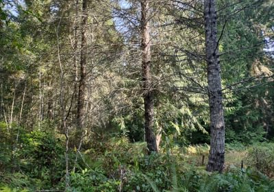 60 IMG 20250905 110830133 HDR