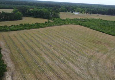 610 DJI 0261