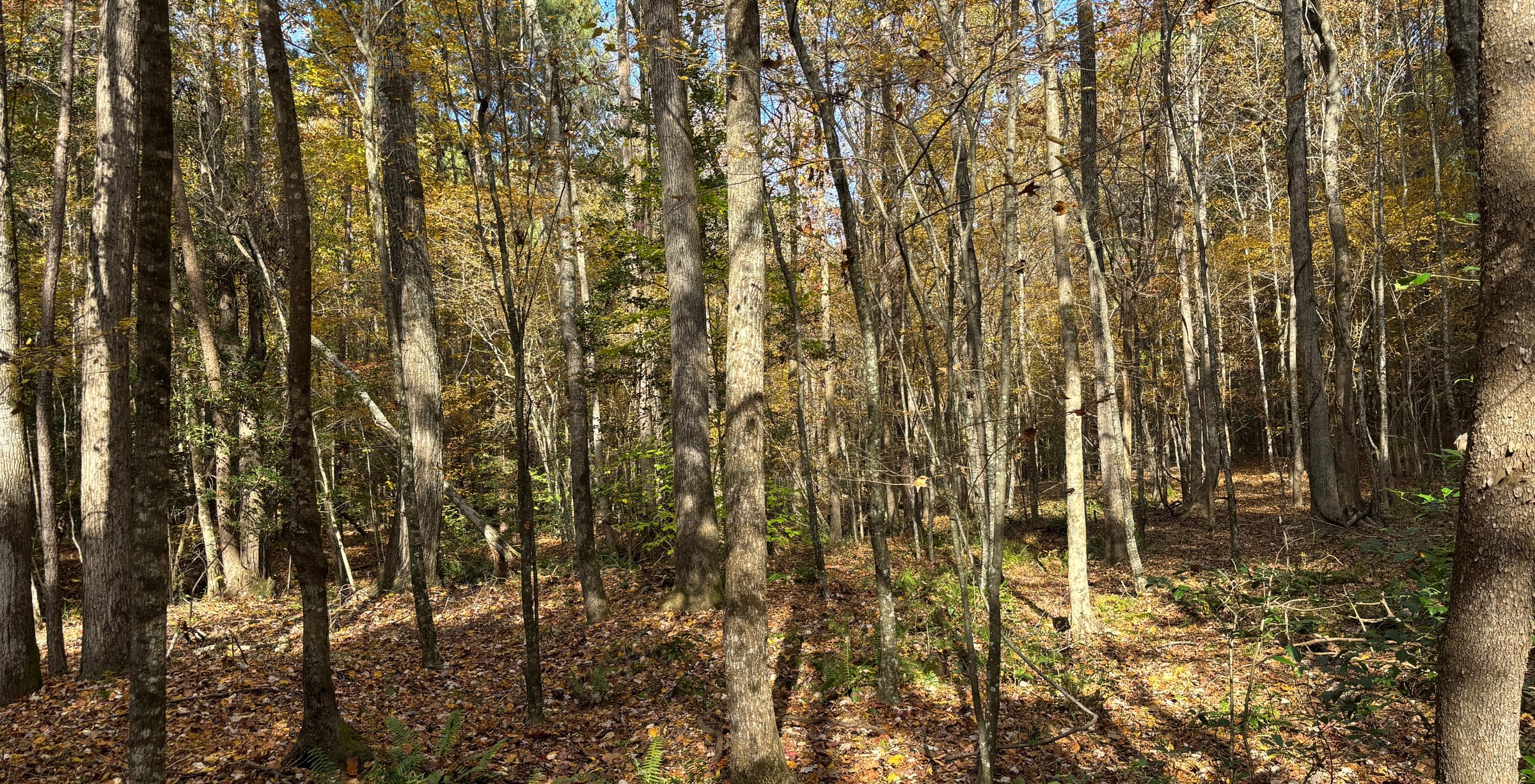 610 IMG 5836