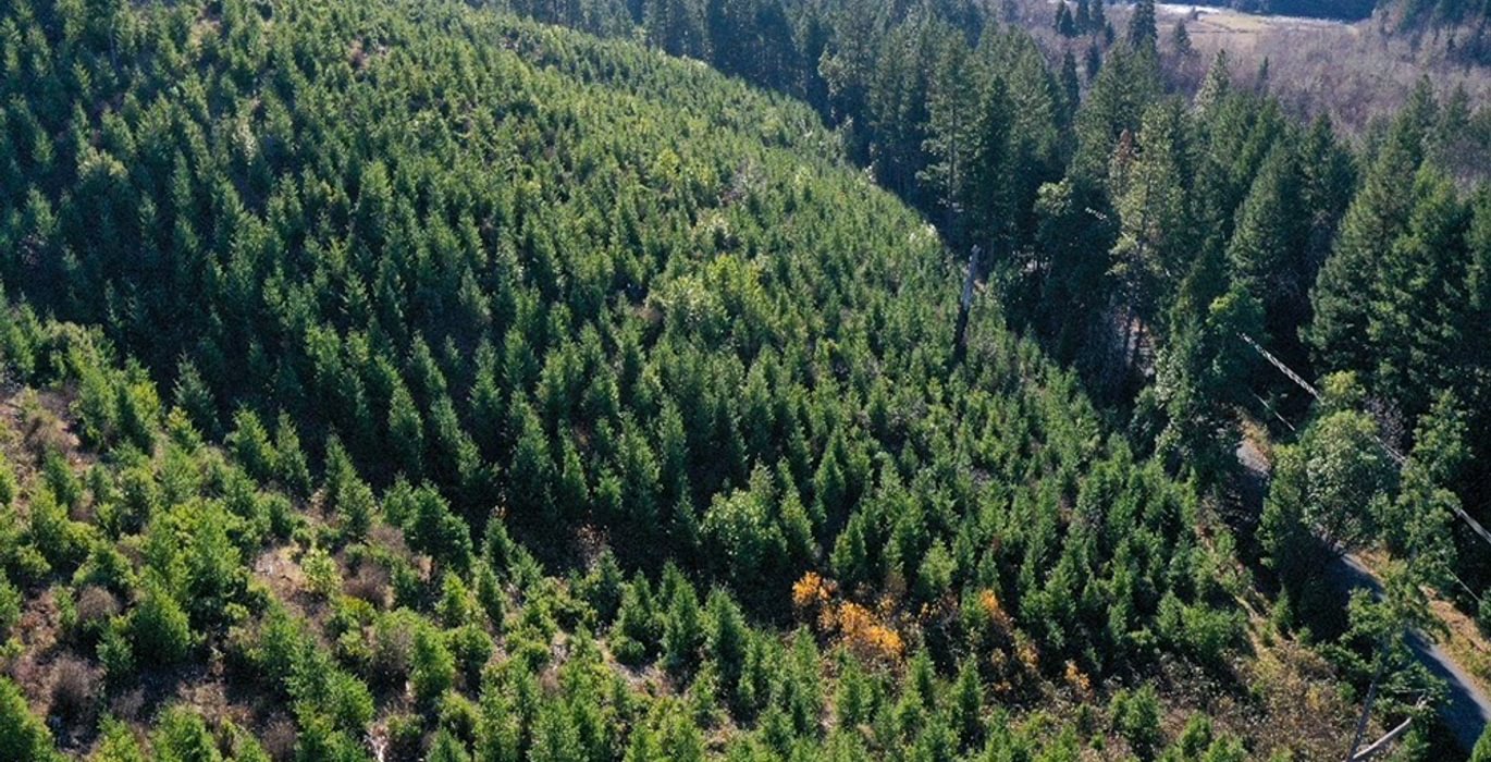 610 Photo Dec 04 2025 10 11 21 PM 23