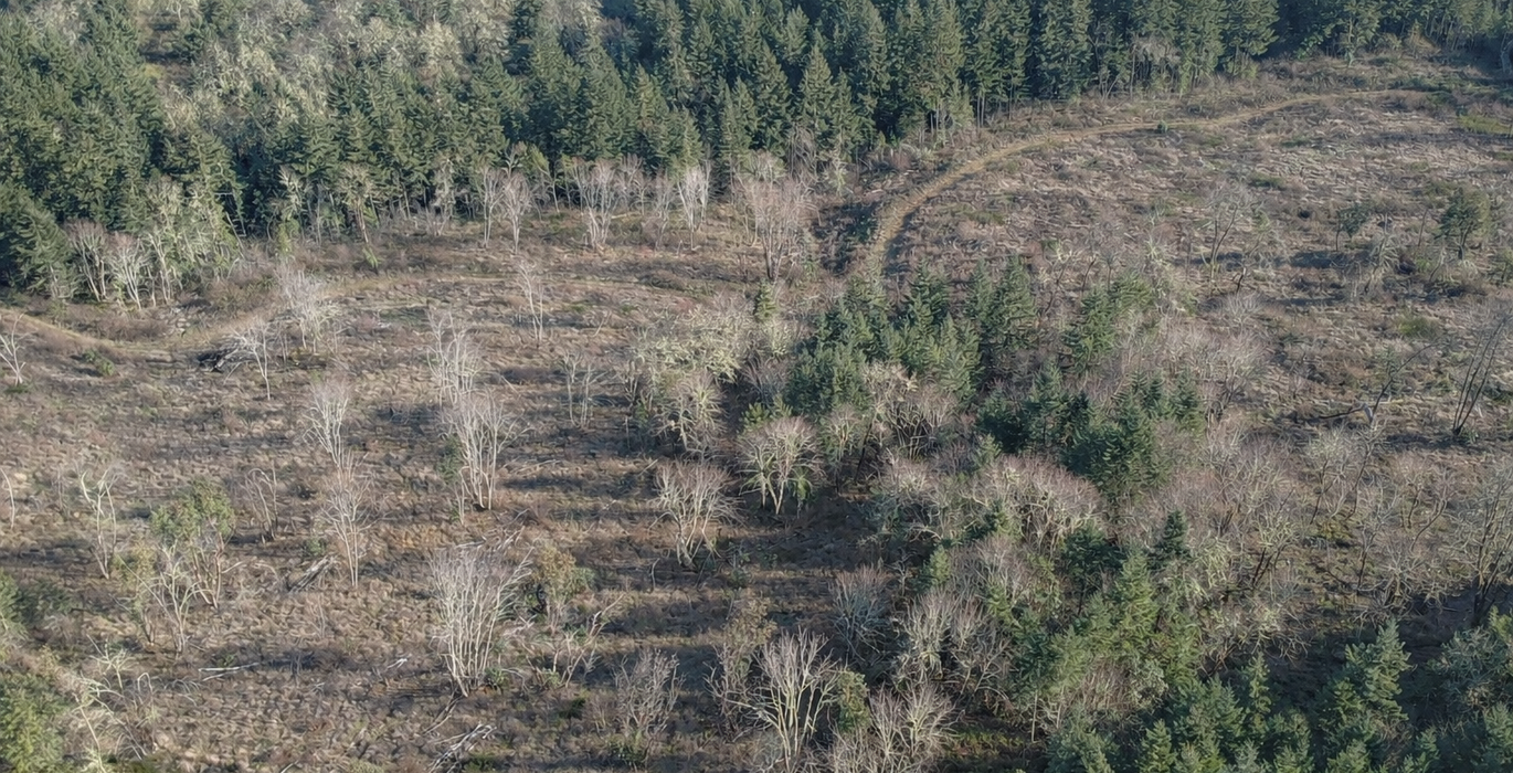 611 Chat GPT Image Jan 13 2026 at 04 11 13 PM