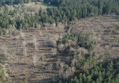 611 Chat GPT Image Jan 13 2026 at 04 11 13 PM