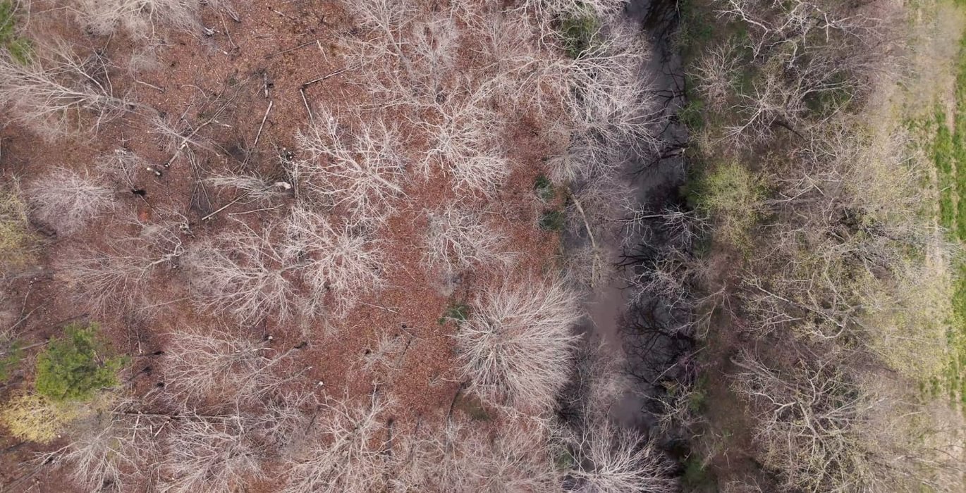 611 AFM West Fork 85 Photo 15