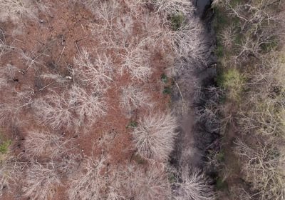 611 AFM West Fork 85 Photo 15