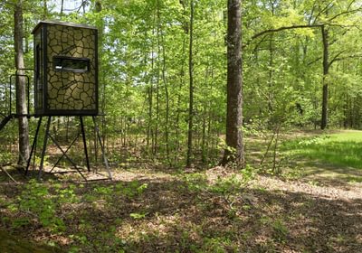 613 AFM Flat Creek Farm Photo Land 11