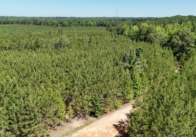 613 Horton Tract Photo 9