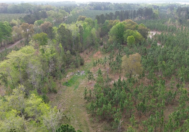 Photo 6 of Old Poor Robin Tract 1, 24.6 acres, Screven County, Georgia