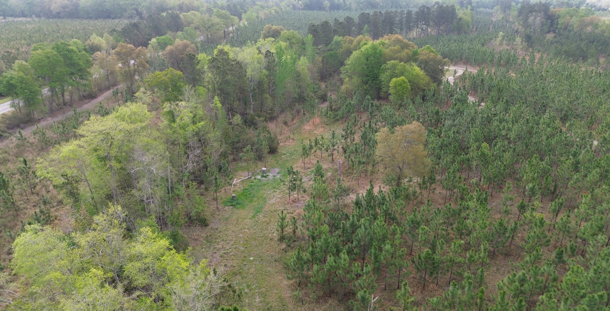 Photo 6 of Old Poor Robin Tract 1, 24.6 acres, Screven County, Georgia