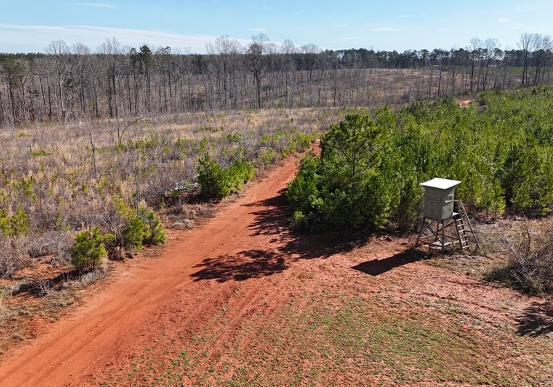 Photo 13 of Wolf Creek - Sportsman Tract, 182 acres, Jasper County, Georgia