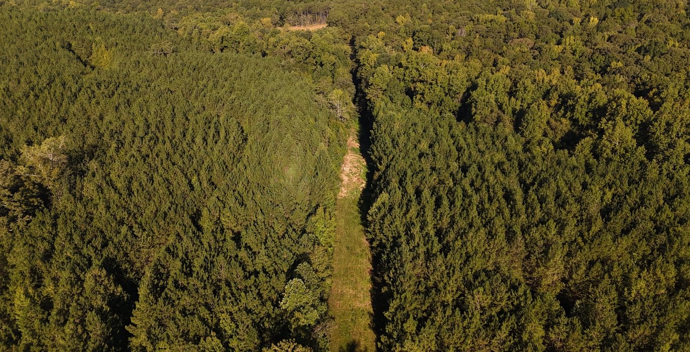 615 DJI 20260928092053 0106 D