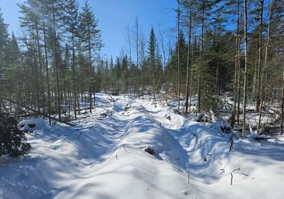 616 2 North lot
