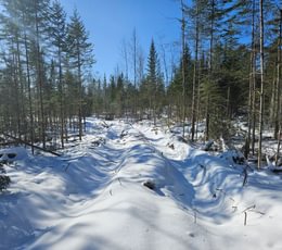 616 2 North lot
