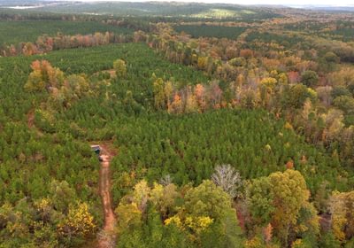 616 AFM Richmond 126 Tract Photo 12