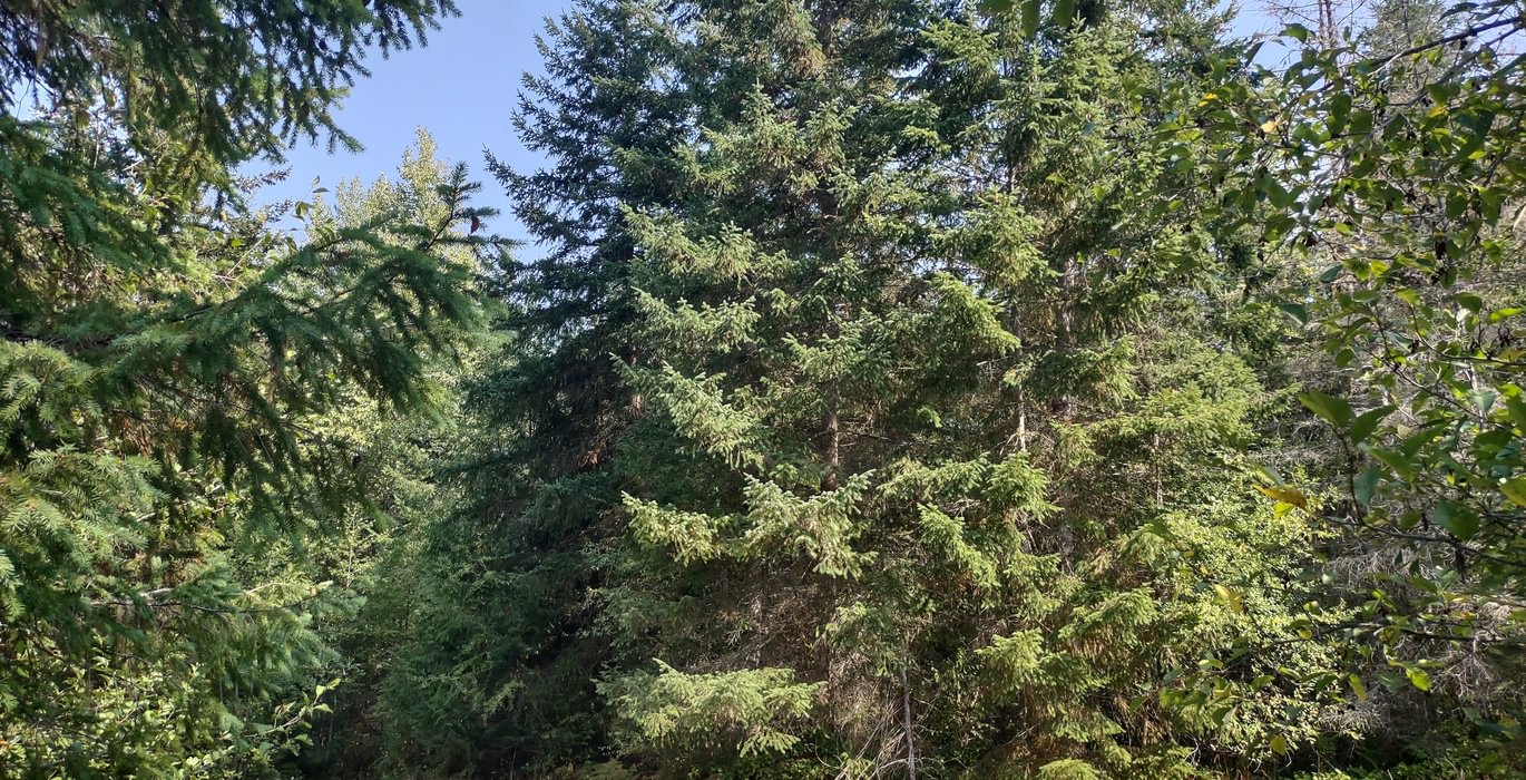 618 IMG 20250905 111322520 HDR