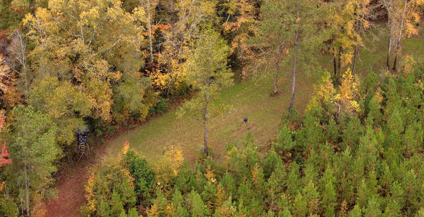 619 AFM Richmond 126 Tract Photo 8