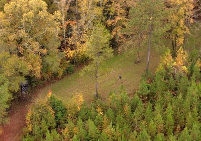 619 AFM Richmond 126 Tract Photo 8