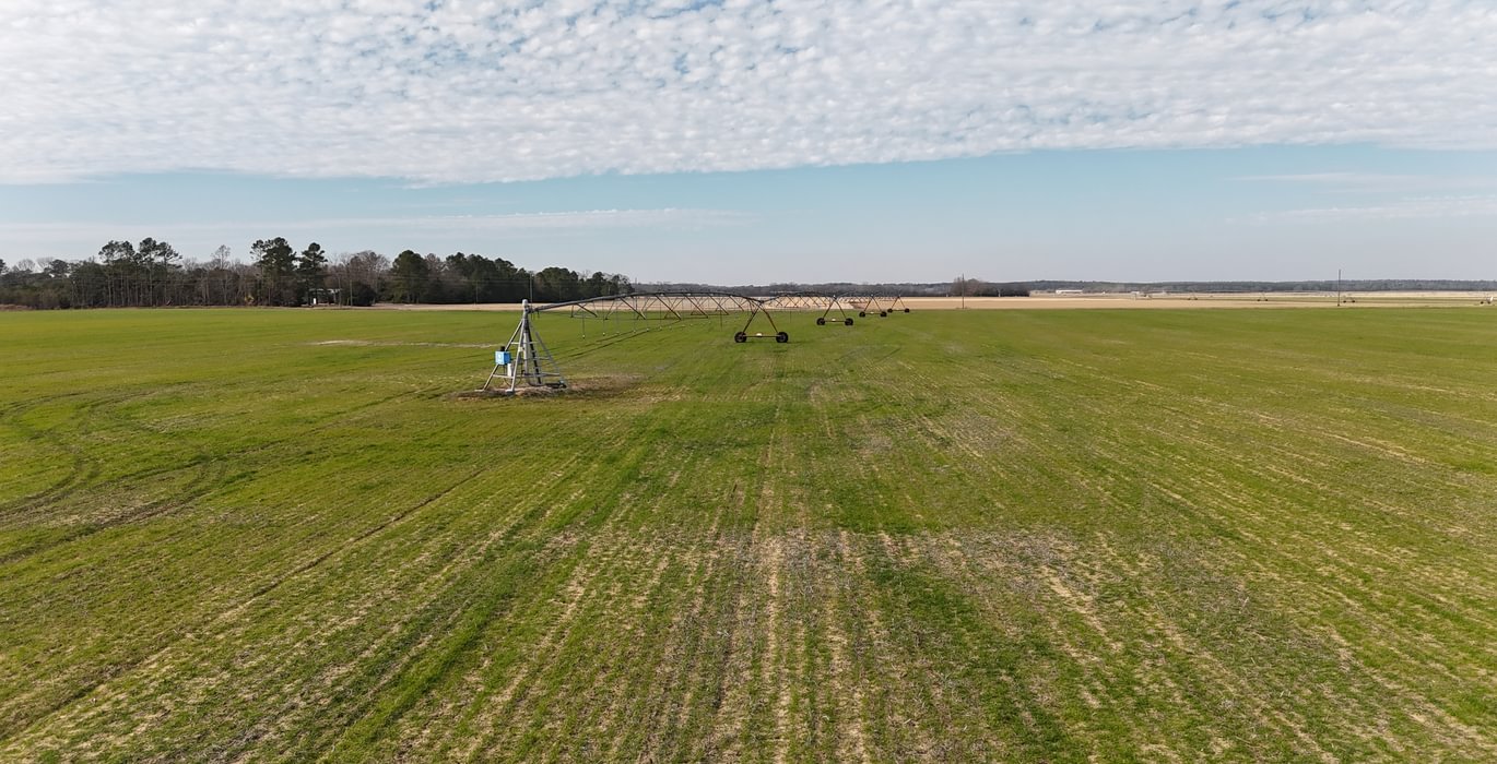 619 DJI 20250206135832 0129 D