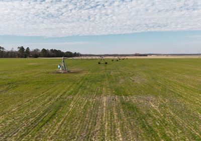 619 DJI 20250206135832 0129 D