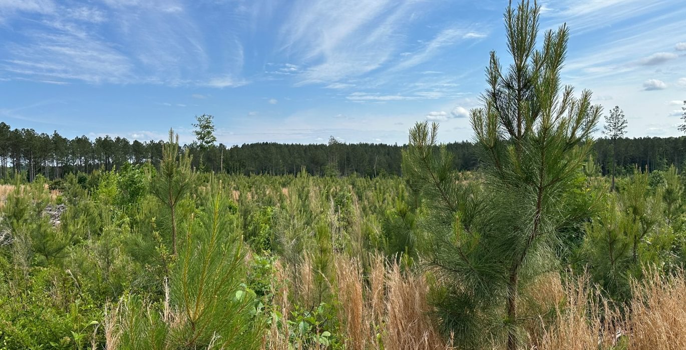 619 IMG 0767