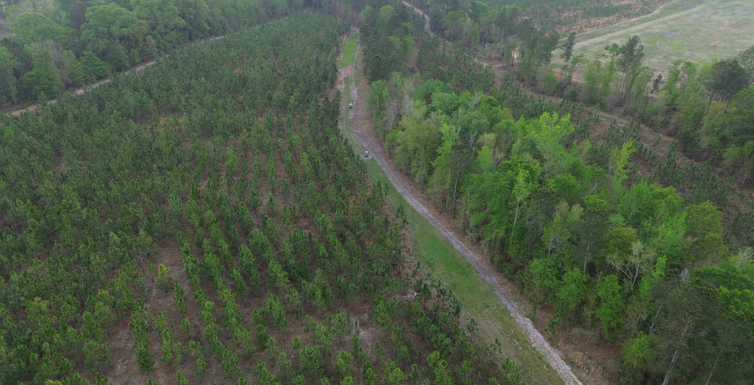 Photo 5 of Old Poor Robin Sportsman Tract 2, 24.6 acres, Screven County, Georgia