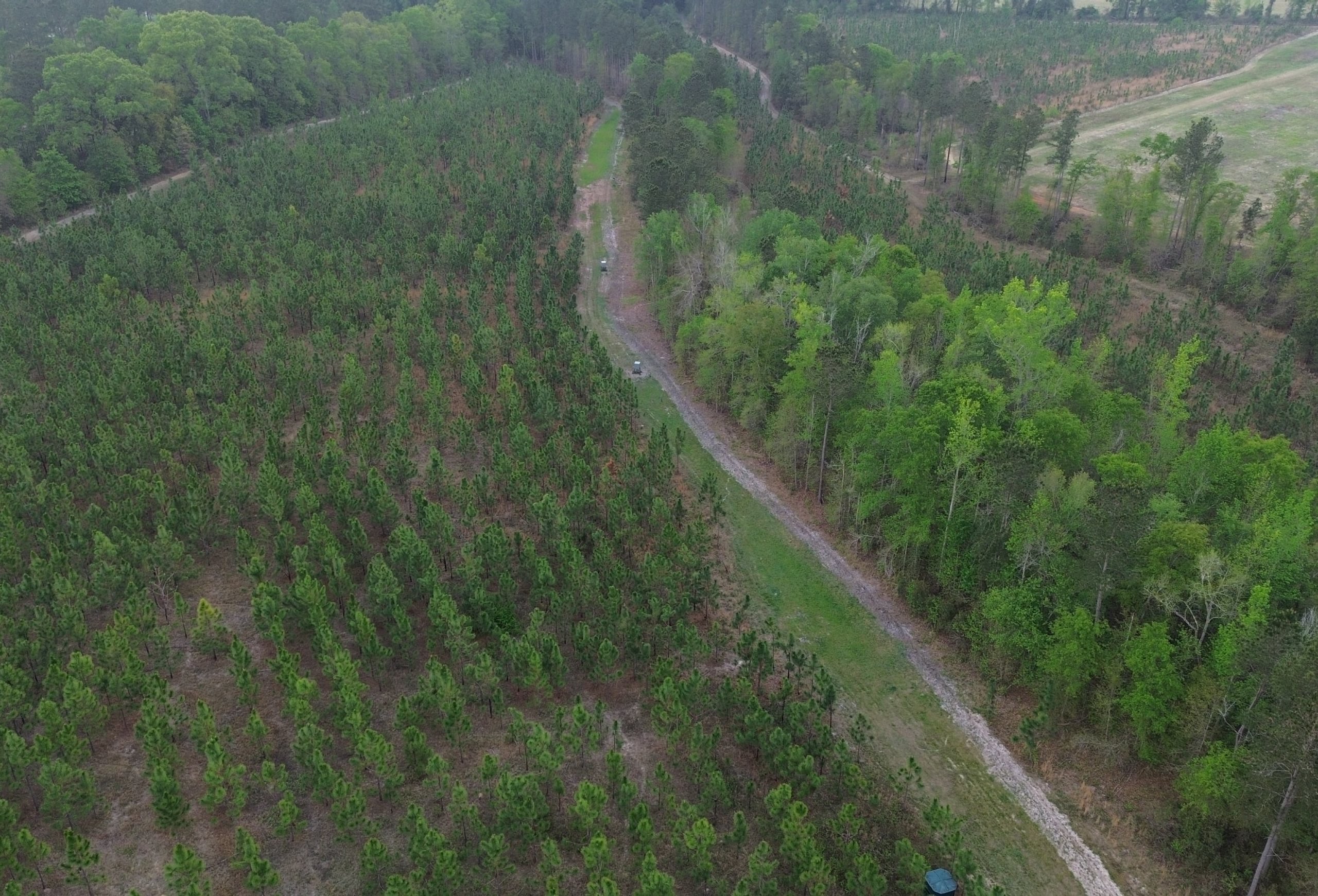 Photo 5 of Old Poor Robin Sportsman Tract 2, 24.6 acres, Screven County, Georgia