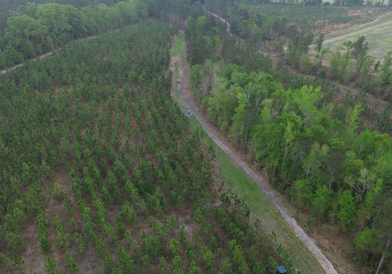 Photo 5 of Old Poor Robin Sportsman Tract 2, 24.6 acres, Screven County, Georgia