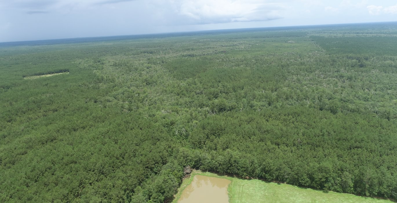 620 DJI 0031