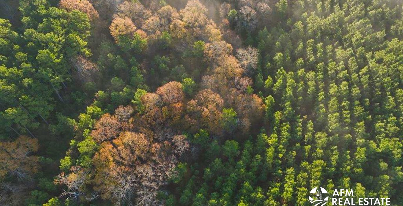 621 DJI 20250201074737 0046 V