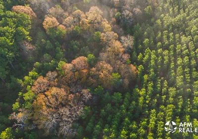 621 DJI 20250201074737 0046 V