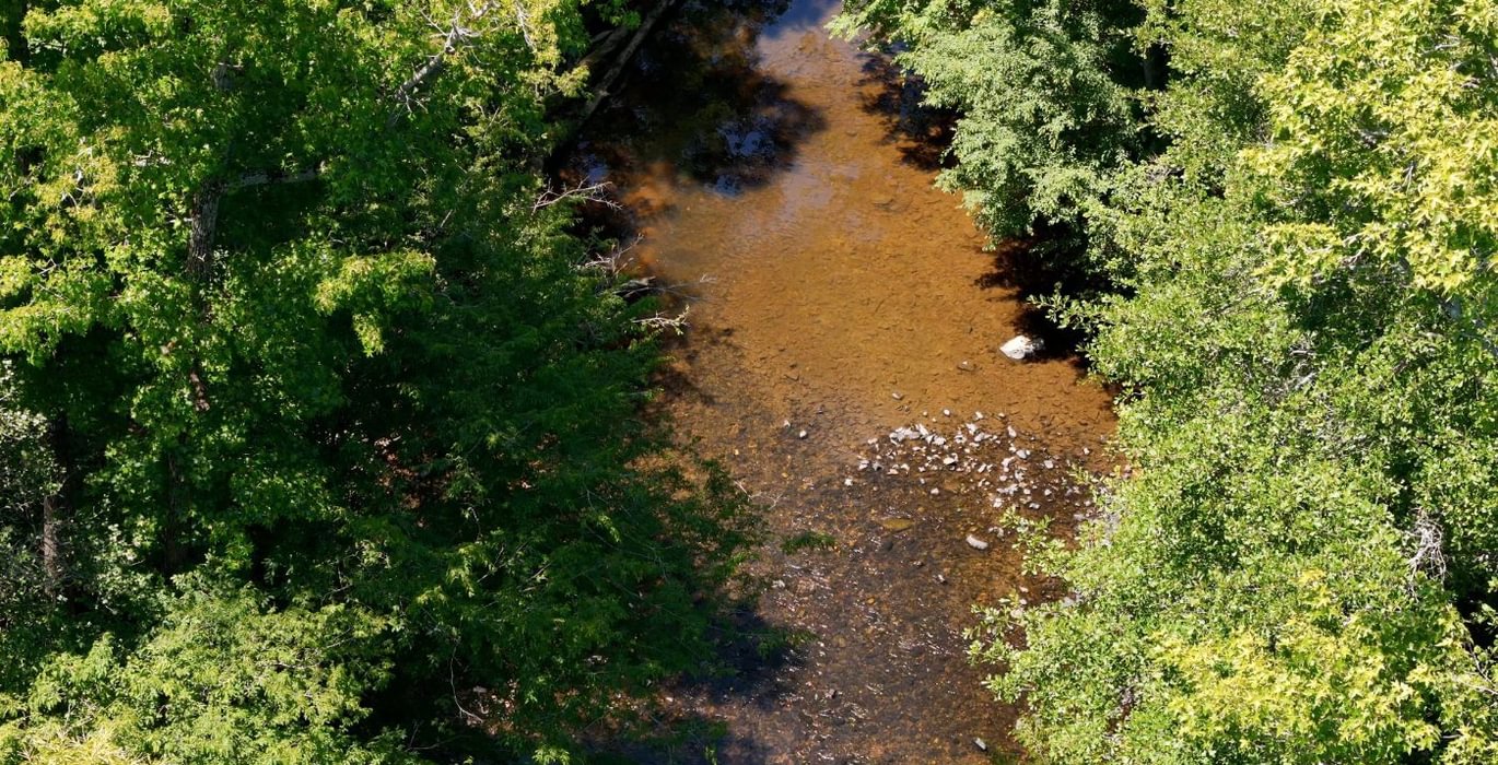 622 AFM Big Mountain Creek Photo 15