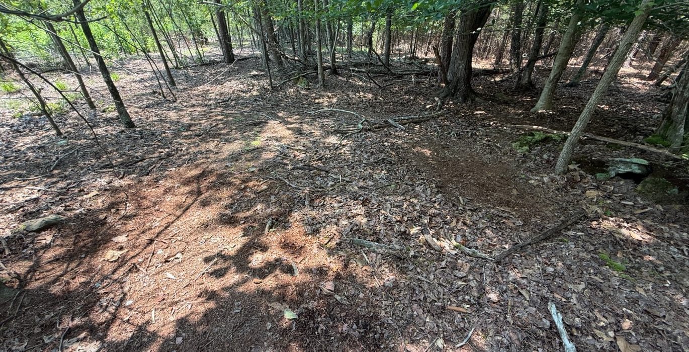 622 IMG 0109