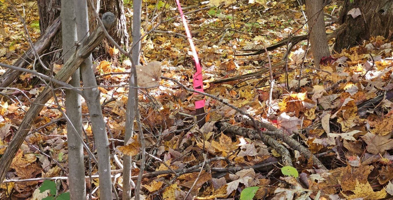 622 Iron pipe SW corner Rt 2