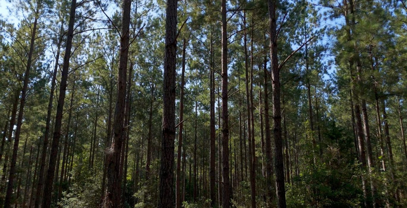 623 Cabin Creek Photo 3