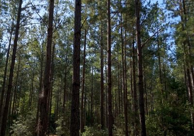 623 Cabin Creek Photo 3